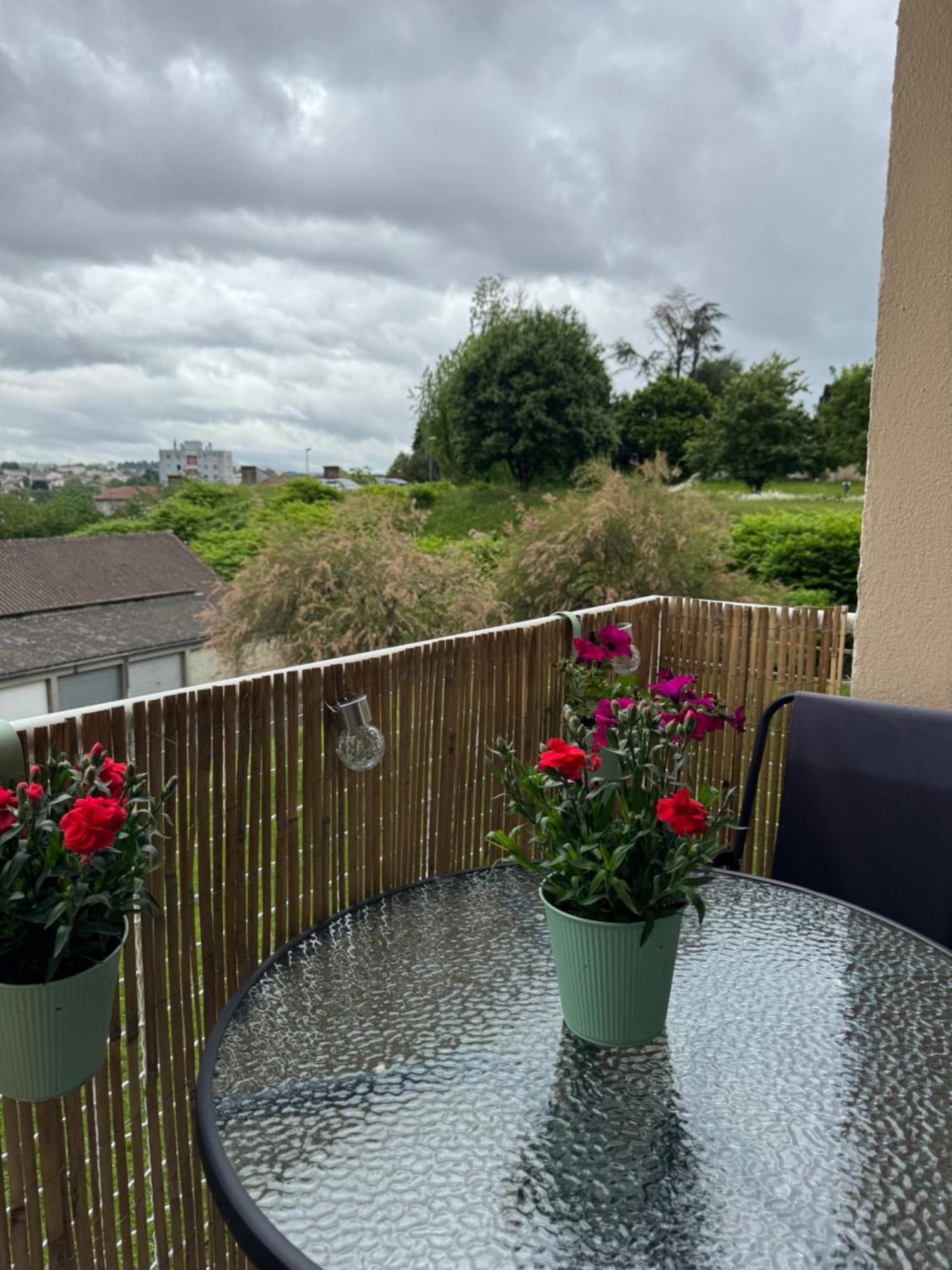 Appartement Chaleureux Et Spacieux T3 Limoges Zewnętrze zdjęcie