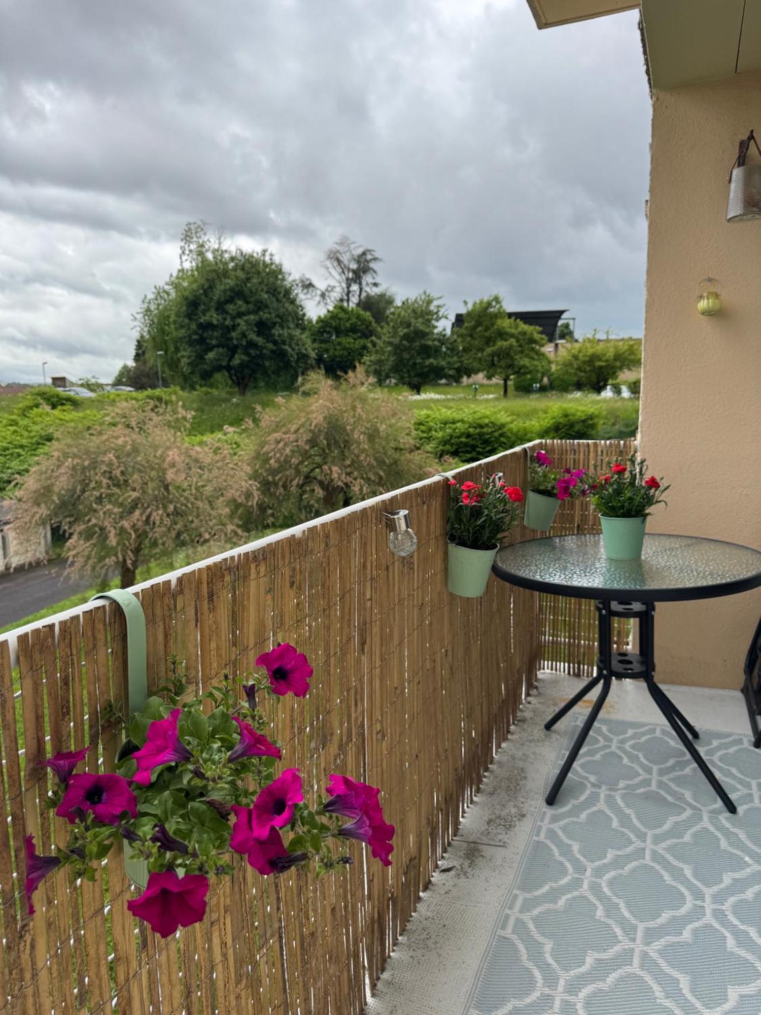 Appartement Chaleureux Et Spacieux T3 Limoges Zewnętrze zdjęcie
